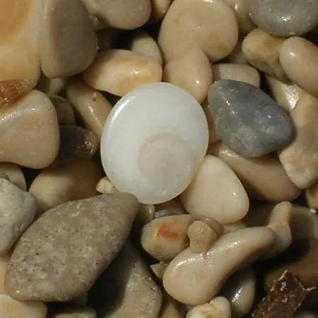 Story Διαμέρισμα Μπολ